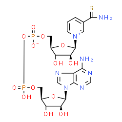 ChemSpider 2D Image | [[(2R,4S,5R)-5-(6-aminopurin-9-yl)-3,4-dihydroxy-tetrahydrofuran-2-yl]methoxy-hydroxy-phosphoryl] [(2R,4S,5R)-5-(3-carbamothioylpyridin-1-ium-1-yl)-3,4-dihydroxy-tetrahydrofuran-2-yl]methyl phosphate | C21H27N7O13P2S
