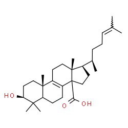 ChemSpider 2D Image | (3beta,5xi,14xi)-3-Hydroxylanosta-8,24-dien-30-oic acid | C30H48O3