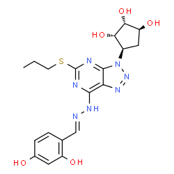 ChemSpider 2D Image | (1S,2R,3S,4R)-4-{7-[(2E)-2-(2,4-Dihydroxybenzylidene)hydrazino]-5-(propylsulfanyl)-3H-[1,2,3]triazolo[4,5-d]pyrimidin-3-yl}-1,2,3-cyclopentanetriol | C19H23N7O5S