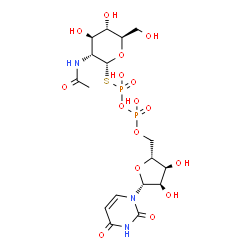 ChemSpider 2D Image | S-[(2R,3R,4R,5S,6R)-3-Acetamido-4,5-dihydroxy-6-(hydroxymethyl)tetrahydro-2H-pyran-2-yl] O-{[(2R,3S,4R,5R)-5-(2,4-dioxo-3,4-dihydro-1(2H)-pyrimidinyl)-3,4-dihydroxytetrahydro-2-furanyl]methyl} dihydro
gen thiodiphosphate (non-preferred name) | C17H27N3O16P2S