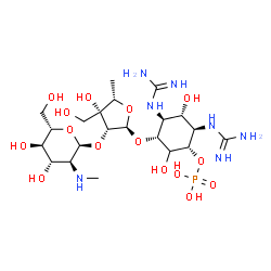 ChemSpider 2D Image | (1S,2R,3S,4S,5R)-2,4-Dicarbamimidamido-5-({5-deoxy-2-O-[2-deoxy-2-(methylamino)-alpha-L-glucopyranosyl]-3-C-(hydroxymethyl)-alpha-L-lyxofuranosyl}oxy)-3,6-dihydroxycyclohexyl dihydrogen phosphate | C21H42N7O15P