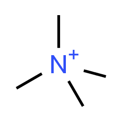 ChemSpider 2D Image | tetramethylammonium | C4H12N