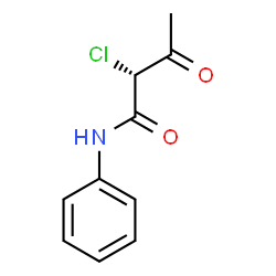 ChemSpider 2D Image | (2R)-2-Chloro-3-oxo-N-phenylbutanamide | C10H10ClNO2