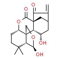 ChemSpider 2D Image | (1S,4S,8R,9R,12S,13R)-9,14-Dihydroxy-7,7-dimethyl-17-methylene-3,10-dioxapentacyclo[14.2.1.0~1,13~.0~4,12~.0~8,12~]nonadecane-2,18-dione | C20H26O6