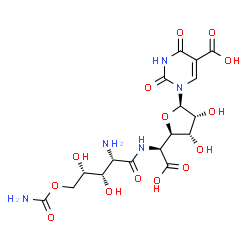 ChemSpider 2D Image | 1-{(2R,3R,4S,5R)-5-[(S)-{[(2S,3S,4S)-2-Amino-5-(carbamoyloxy)-3,4-dihydroxypentanoyl]amino}(carboxy)methyl]-3,4-dihydroxytetrahydro-2-furanyl}-2,4-dioxo-1,2,3,4-tetrahydro-5-pyrimidinecarboxylic acid 
(non-preferred name) | C17H23N5O14