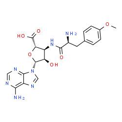 ChemSpider 2D Image | (2S,3S,4R,5R)-3-{[(2S)-2-Amino-3-(4-methoxyphenyl)propanoyl]amino}-5-(6-amino-9H-purin-9-yl)-4-hydroxytetrahydro-2-furancarboxylic acid | C20H23N7O6