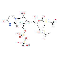 ChemSpider 2D Image | (2R,3S,4R,5R)-5-(2,4-Dioxo-3,4-dihydro-1(2H)-pyrimidinyl)-4-hydroxy-2-({[hydroxy(phosphonooxy)phosphoryl]oxy}methyl)tetrahydro-3-furanyl (2R,3R,6R)-4,5-diacetamido-3,6-dihydroxytetrahydro-2H-pyran-2-c
arboxylate (non-preferred name) | C19H28N4O18P2