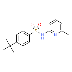 ChemSpider 2D Image | 4-(2-Methyl-2-propanyl)-N-(6-methyl-2-pyridinyl)benzenesulfonamide | C16H20N2O2S