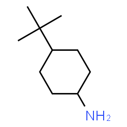 ChemSpider 2D Image | 4-t-butylcyclohexylamine | C10H21N