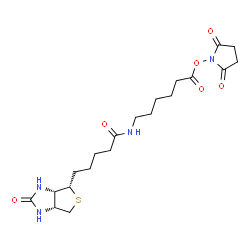 ChemSpider 2D Image | Nhs-LC-biotin | C20H30N4O6S