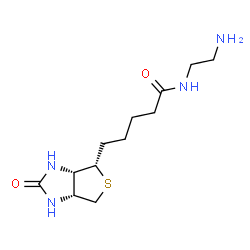 ChemSpider 2D Image | 5-[(3aS,4S,6aR)-2-oxo-hexahydrothieno[3,4-d]imidazol-4-yl]-N-(2-aminoethyl)pentanamide | C12H22N4O2S