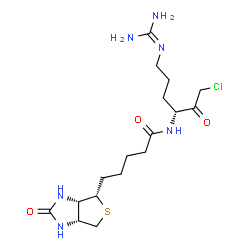 ChemSpider 2D Image | N-{(3R)-1-Chloro-6-[(diaminomethylene)amino]-2-oxo-3-hexanyl}-5-[(3aS,4S,6aR)-2-oxohexahydro-1H-thieno[3,4-d]imidazol-4-yl]pentanamide | C17H29ClN6O3S