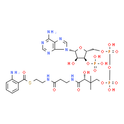 ChemSpider 2D Image | anthraniloyl-CoA | C28H41N8O17P3S