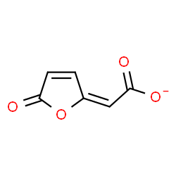 ChemSpider 2D Image | (2E)-(5-Oxo-2(5H)-furanylidene)acetate | C6H3O4