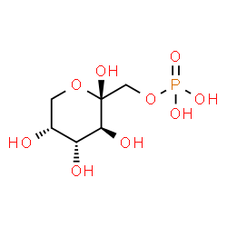 ChemSpider 2D Image | beta-D-fructopyranose 1-phosphate | C6H13O9P