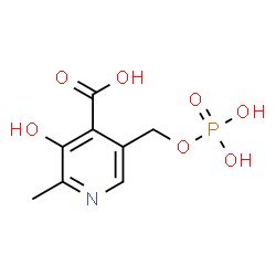 ChemSpider 2D Image | 3-Hydroxy-2-methyl-5-[(phosphonooxy)methyl]isonicotinic acid | C8H10NO7P