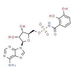 ChemSpider 2D Image | 5'-O-[(2,3-Dihydroxybenzoyl)sulfamoyl]adenosine | C17H18N6O9S