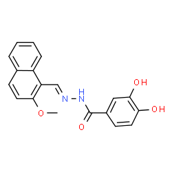 ChemSpider 2D Image | 3,4-Dihydroxy-N'-[(E)-(2-methoxy-1-naphthyl)methylene]benzohydrazide | C19H16N2O4