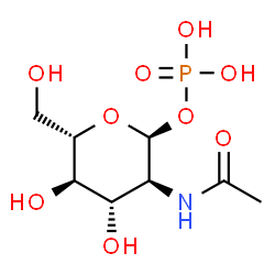 ChemSpider 2D Image | 2-Acetamido-2-deoxy-1-O-phosphono-alpha-L-glucopyranose | C8H16NO9P