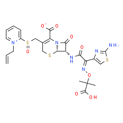 ChemSpider 2D Image | (6S,7S)-3-{[(1-Allyl-2-pyridiniumyl)sulfinyl]methyl}-7-{[(2E)-2-(2-amino-1,3-thiazol-4-yl)-2-{[(2-carboxy-2-propanyl)oxy]imino}acetyl]amino}-8-oxo-5-thia-1-azabicyclo[4.2.0]oct-2-ene-2-carboxylate | C25H26N6O8S3