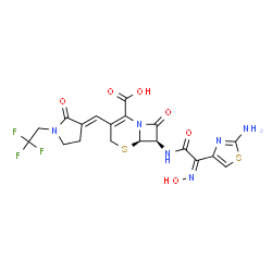 ChemSpider 2D Image | (6R,7R)-7-{[(2Z)-2-(2-Amino-1,3-thiazol-4-yl)-2-(hydroxyimino)acetyl]amino}-8-oxo-3-{(E)-[2-oxo-1-(2,2,2-trifluoroethyl)-3-pyrrolidinylidene]methyl}-5-thia-1-azabicyclo[4.2.0]oct-2-ene-2-carboxylic ac
id | C19H17F3N6O6S2