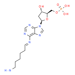 ChemSpider 2D Image | N-(6-Aminohexylidene)-2'-deoxyadenosine 5'-(dihydrogen phosphate) | C16H25N6O6P
