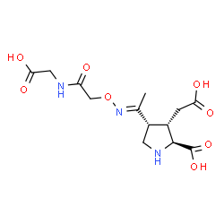 ChemSpider 2D Image | (3S,4R)-3-(Carboxymethyl)-4-[(1E)-N-{2-[(carboxymethyl)amino]-2-oxoethoxy}ethanimidoyl]-L-proline | C13H19N3O8