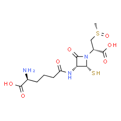 ChemSpider 2D Image | N~6~-[(3R,4R)-1-{(1S)-1-Carboxy-2-[(S)-methylsulfinyl]ethyl}-2-oxo-4-sulfanyl-3-azetidinyl]-6-oxo-L-lysine | C13H21N3O7S2