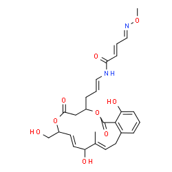 ChemSpider 2D Image | (2E,4E)-N-{(1E)-3-[(8E,11E)-10,17-Dihydroxy-7-(hydroxymethyl)-11-methyl-1,5-dioxo-1,4,5,7,10,13-hexahydro-3H-2,6-benzodioxacyclopentadecin-3-yl]-1-propen-1-yl}-4-(methoxyimino)-2-butenamide | C27H32N2O9
