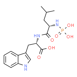 ChemSpider 2D Image | N-Phosphono-L-leucyl-L-tryptophan | C17H24N3O6P