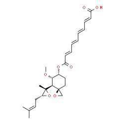 ChemSpider 2D Image | (2E,4E,6E,8E)-10-({(3R,4S,5S,6R)-5-Methoxy-4-[(2S,3R)-2-methyl-3-(3-methyl-2-buten-1-yl)-2-oxiranyl]-1-oxaspiro[2.5]oct-6-yl}oxy)-10-oxo-2,4,6,8-decatetraenoic acid | C26H34O7
