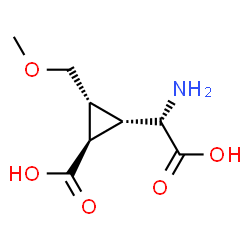 ChemSpider 2D Image | (1R,2S,3R)-2-[(S)-Amino(carboxy)methyl]-3-(methoxymethyl)cyclopropanecarboxylic acid | C8H13NO5