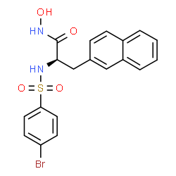 ChemSpider 2D Image | N~2~-[(4-Bromophenyl)sulfonyl]-N-hydroxy-3-(2-naphthyl)-D-alaninamide | C19H17BrN2O4S