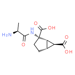 ChemSpider 2D Image | Talaglumetad | C11H16N2O5