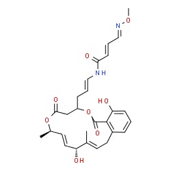 ChemSpider 2D Image | (2E,4E)-N-{(1E)-3-[(7R,8E,10R,11E)-10,17-Dihydroxy-7,11-dimethyl-1,5-dioxo-1,4,5,7,10,13-hexahydro-3H-2,6-benzodioxacyclopentadecin-3-yl]-1-propen-1-yl}-4-(methoxyimino)-2-butenamide | C27H32N2O8