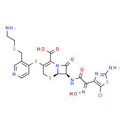 ChemSpider 2D Image | 5-thia-1-azabicyclo[4.2.0]oct-2-ene-2-carboxylic acid, 7-[[(2Z)-2-(2-amino-5-chloro-4-thiazolyl)-2-(hydroxyimino)-1-oxoethyl]amino]-3-[[3-[[(2-aminoethyl)thio]methyl]-4-pyridinyl]thio]-8-oxo-, (6R,7R)- | C20H20ClN7O5S4