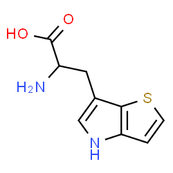 ChemSpider 2D Image | 3-(4H-Thieno[3,2-b]pyrrol-6-yl)alanine | C9H10N2O2S