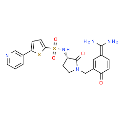 ChemSpider 2D Image | N-[(3S)-1-{[3-(Diaminomethylene)-6-oxo-1,4-cyclohexadien-1-yl]methyl}-2-oxo-3-pyrrolidinyl]-5-(3-pyridinyl)-2-thiophenesulfonamide | C21H21N5O4S2