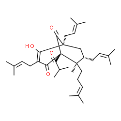 ChemSpider 2D Image | (1S,5S,7S,8R)-4-Hydroxy-1-isobutyryl-8-methyl-3,5,7-tris(3-methyl-2-buten-1-yl)-8-(4-methyl-3-penten-1-yl)bicyclo[3.3.1]non-3-ene-2,9-dione | C35H52O4