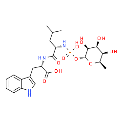 ChemSpider 2D Image | (2S)-2-({(2S)-2-[(Hydroxy{[(2R,3S,4S,5R,6R)-3,4,5-trihydroxy-6-methyltetrahydro-2H-pyran-2-yl]oxy}phosphoryl)amino]-4-methylpentanoyl}amino)-3-(1H-indol-3-yl)propanoic acid | C23H34N3O10P