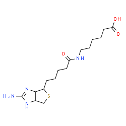 ChemSpider 2D Image | 6-{[5-(2-Amino-3a,4,6,6a-tetrahydro-1H-thieno[3,4-d]imidazol-4-yl)pentanoyl]amino}hexanoic acid | C16H28N4O3S
