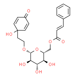ChemSpider 2D Image | 2-(1-Hydroxy-4-oxo-2,5-cyclohexadien-1-yl)ethyl 6-O-[(2E)-3-phenyl-2-propenoyl]-beta-D-glucopyranoside | C23H26O9