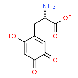 ChemSpider 2D Image | (2S)-2-Amino-3-(6-hydroxy-3,4-dioxo-1,5-cyclohexadien-1-yl)propanoate | C9H8NO5