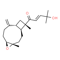 ChemSpider 2D Image | (2E)-1-[(1S,4S,6S,10R,12S)-4,12-Dimethyl-9-methylene-5-oxatricyclo[8.2.0.0~4,6~]dodec-12-yl]-4-hydroxy-4-methyl-2-penten-1-one | C20H30O3
