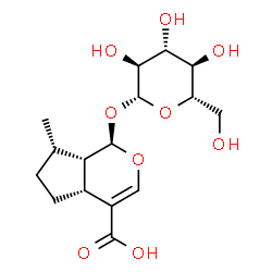 ChemSpider 2D Image | (1R,4aR,7S,7aS)-1-(beta-L-Glucopyranosyloxy)-7-methyl-1,4a,5,6,7,7a-hexahydrocyclopenta[c]pyran-4-carboxylic acid | C16H24O9