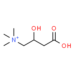ChemSpider 2D Image | Carnitine conjugate base | C7H16NO3