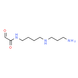 ChemSpider 2D Image | N-{4-[(3-Aminopropyl)amino]butyl}-2-oxoacetamide | C9H19N3O2