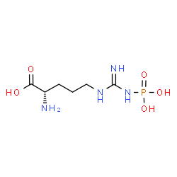 ChemSpider 2D Image | Phosphoarginine | C6H15N4O5P