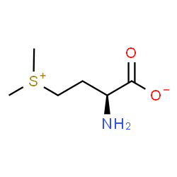 ChemSpider 2D Image | S-methyl-L-methionine | C6H13NO2S