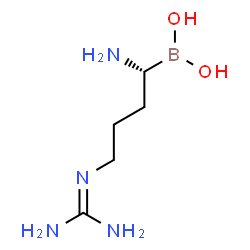 ChemSpider 2D Image | (R)-(1-Amino-4-guanidinobutyl)boronic acid | C5H15BN4O2